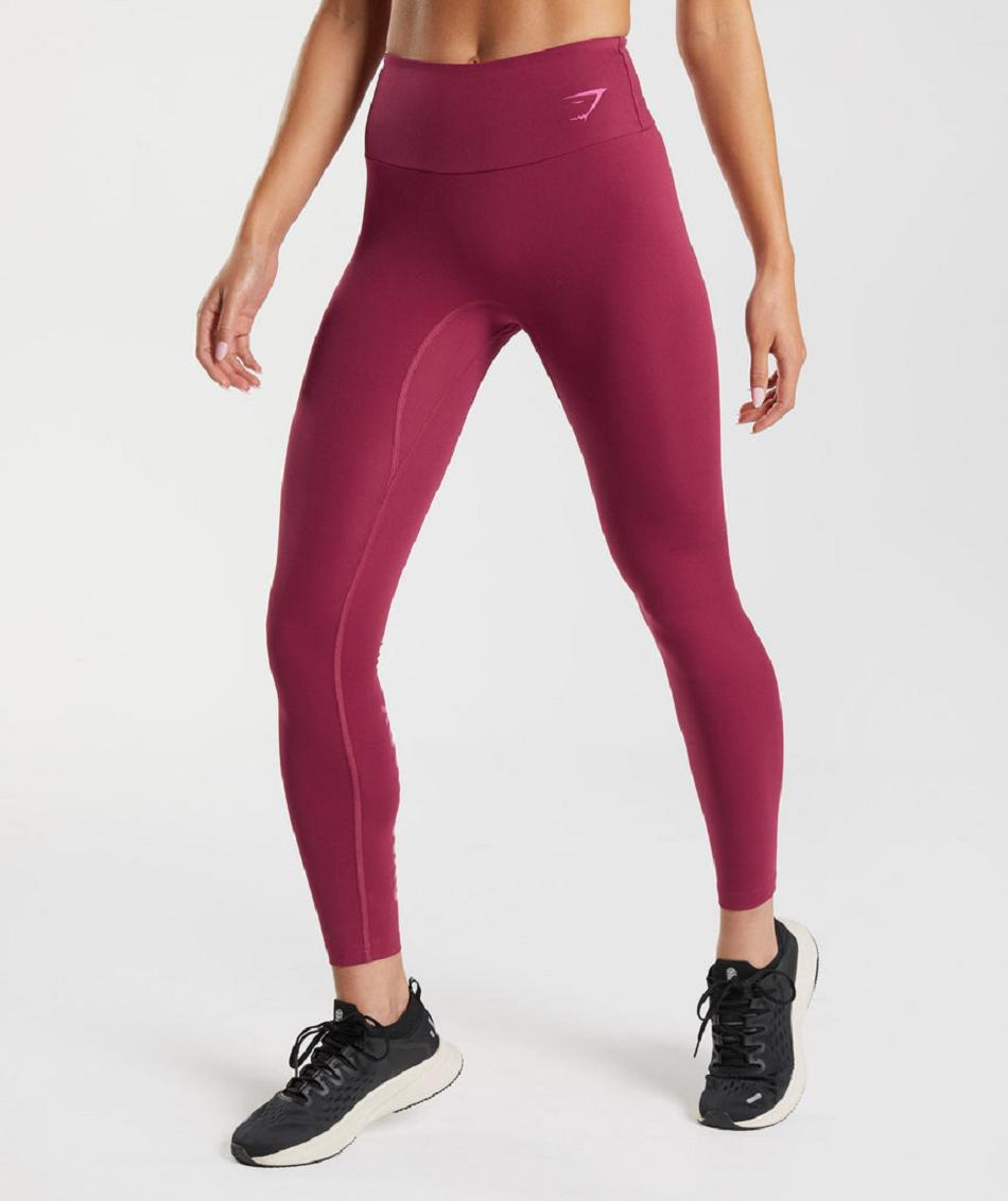 Leggins Gymshark Graphics Fraction Mujer Rosas | CO 2853WNB